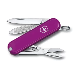 NAVAJA CLASSIC SD TASTY GRAPE VICTORINOX 0.6223.52G