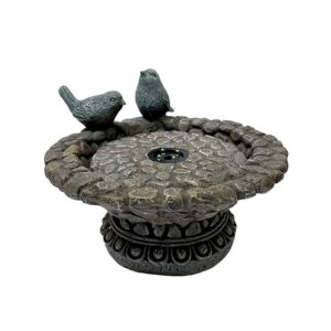 Fuente de Agua Bebedero para Aves con Fuente Electrica